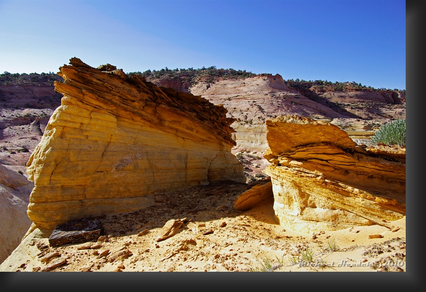 Big Horn Canyon Yellow Rocks.jpg
