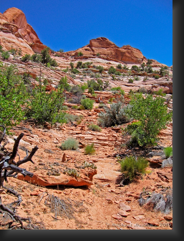 Phipps Arch Trail.jpg