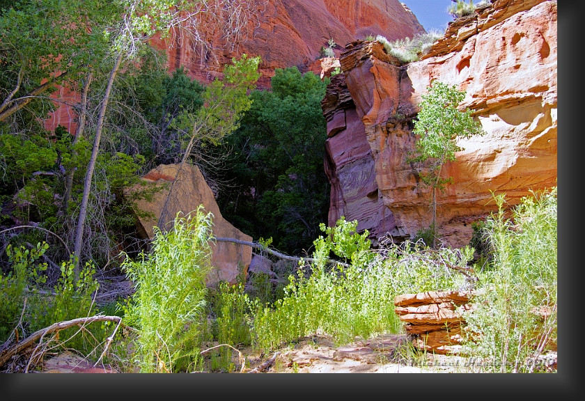 Phipps Canyon Boulder.jpg