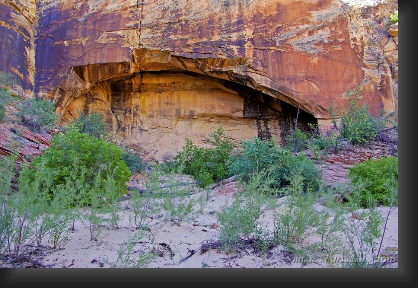 Sliver Arch aka Alcove.jpg