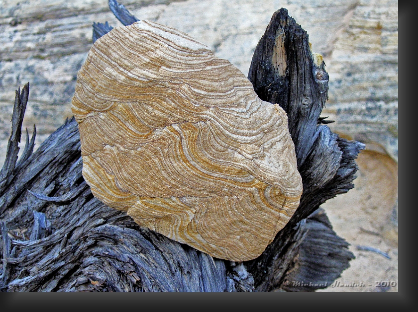 Wood 'n Sandstone.jpg
