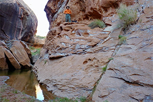 Fallen Rock Bypass