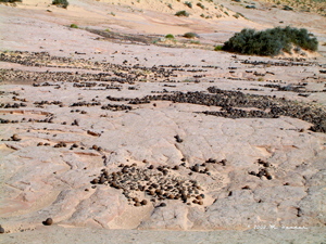 The Moqui Marbles Field